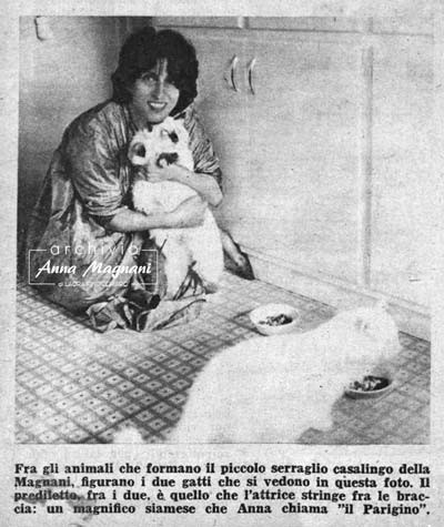 Anna Magnani con i suoi gatti